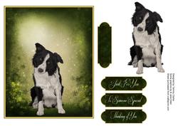 Man's Best Friend Otption 5