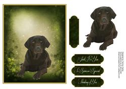 Man's Best Friend Otption 6