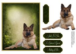 Man's Best Friend Otption 8
