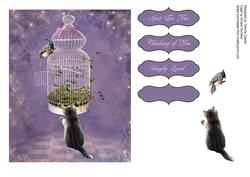 'can I Play?' Sweet Kitten Card Topper