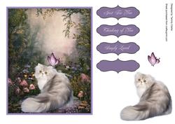 'where'd It Go?' Sweet Cat Card Topper