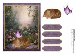 'sleeping Visit' Kitten Card Topper