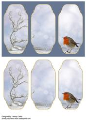 'a Robins' Visit' Card Topper