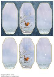 Winter Robin Visit Card Topper