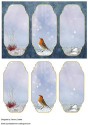 Winter Visitor Robin Card Topper