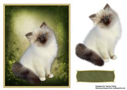 Sweet Kitten Card Topper 1
