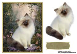 Sweet Kitten Card Topper 3