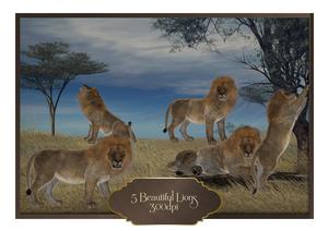 5 Beautiful Lions