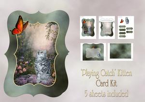 'playing Catch' Kitten Card Kit