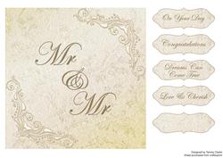 Beautiful 'mr & Mr' Wedding Card Topper