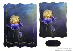 Dark Dreams Iris Card Topper