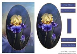 Beautiful Blues Iris Card Topper