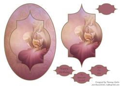 Luscious Pinks Iris Card Topper