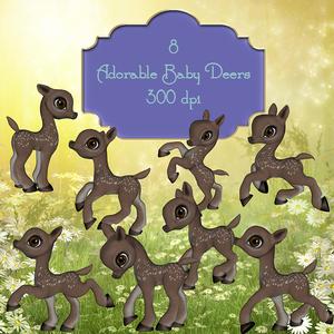 8 Adorable Baby Deers