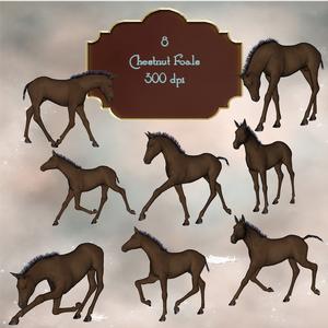 8 Beautiful Chestnut Foals