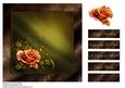 Chocolate and Lime Roses Card Topper