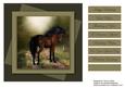 Beautiful Horse Card Topper 1