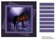 Beautiful Horse Card Topper 3