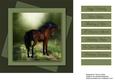 Beautiful Horse Card Topper 4