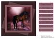 Beautiful Horse Card Topper 5