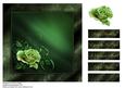 Delicate Green Rose Card Topper