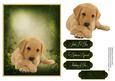 Man's Best Friend Otption 1