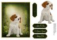 Man's Best Friend Otption 3