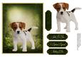 Man's Best Friend Otption 4