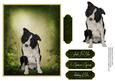 Man's Best Friend Otption 5