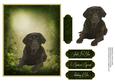 Man's Best Friend Otption 6