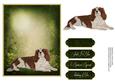 Man's Best Friend Otption 7