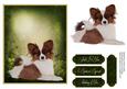 Man's Best Friend Otption 10