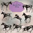 8 Beautiful Foals