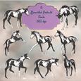 Beautiful Piebald Foals