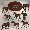8 Beautiful Chestnut Foals