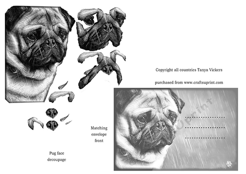 Miss you So much with a pug card