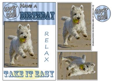 West Highland Terrier Birthday Card