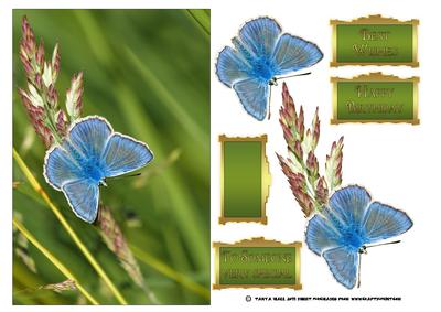 Blue Butterfly Birthday Card