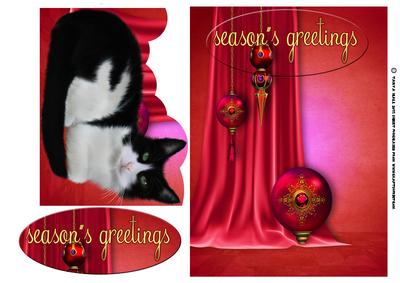 Cat Christmas Card with Insert