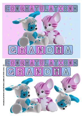 Congratulations Grandma New Baby Twins