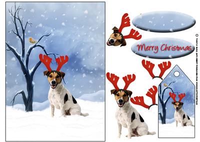 Jack Russell Christmas Greeting Quick Card