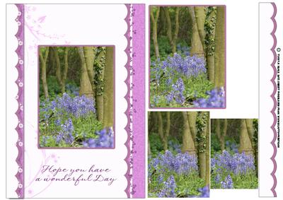 Bluebell Wood Birthday or Mother's Day Card