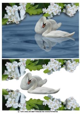 Loving Swans Greeting Card