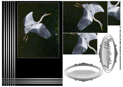 Heron in Flight Birthday or Father's Day Card