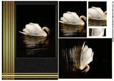 Swan Gold and Black Birthday Card