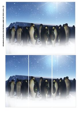 Penguin Card Front with Shutter Cuts