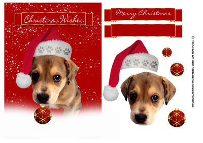 Cute Puppy Christmas Card