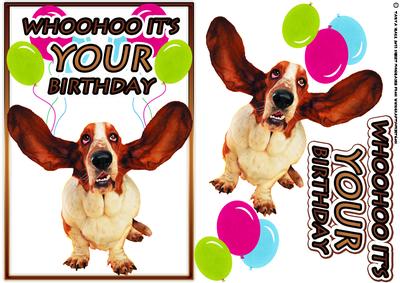 Fun Dog Birthday Card Whoohoo