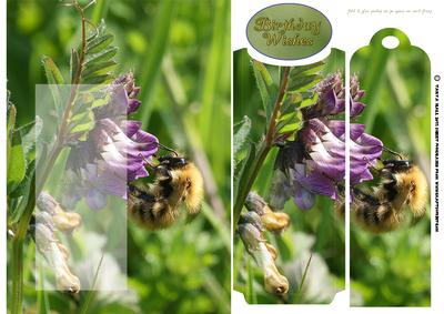 Birthday Bookmark Card with Bee and Flowers