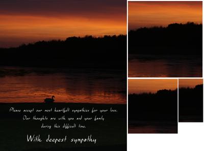Sunset and Swan Sympathy Card Front